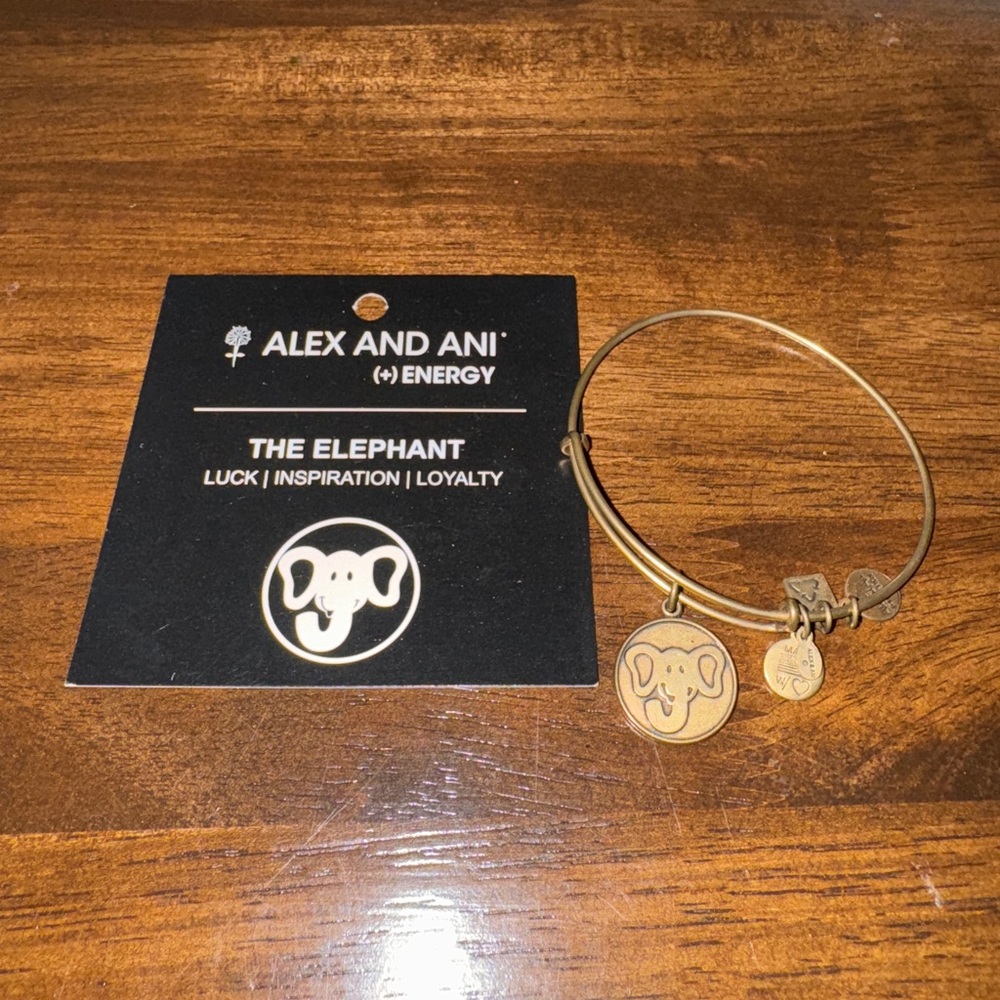 ✨5/$15 Alex & Ani Bracelet